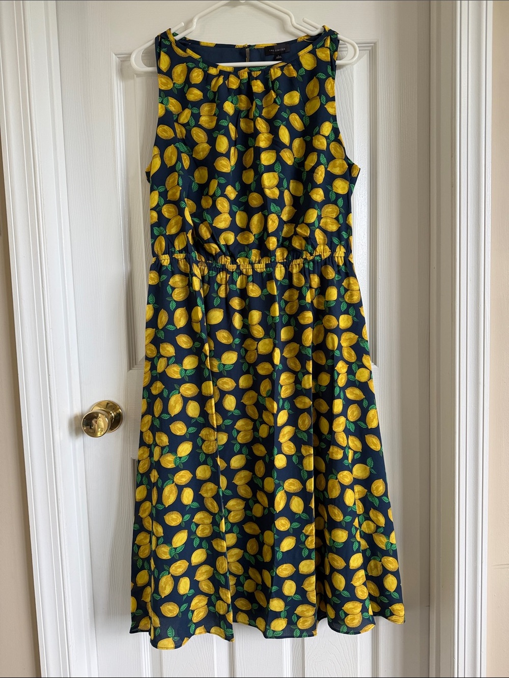 NWT The Limited Navy Midi Dress with Yellow Lemon Print